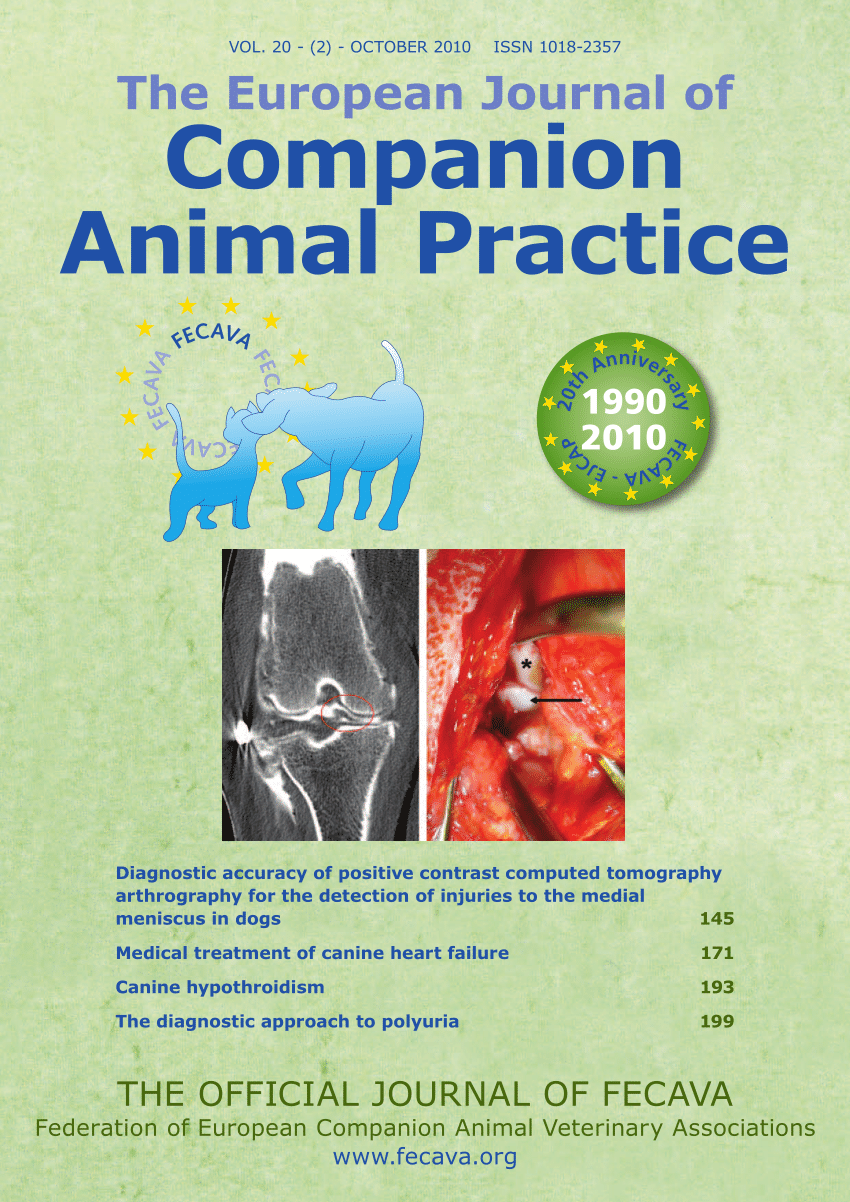 Drost Project: The Visual Guide to Bovine Reproduction: Prolapse