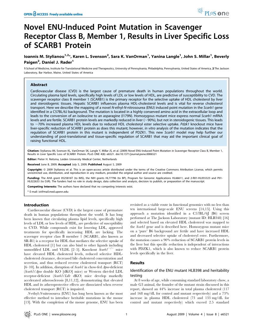 (PDF) Novel ENU-Induced Point Mutation in Scavenger Receptor Class B Sns-Brigh10