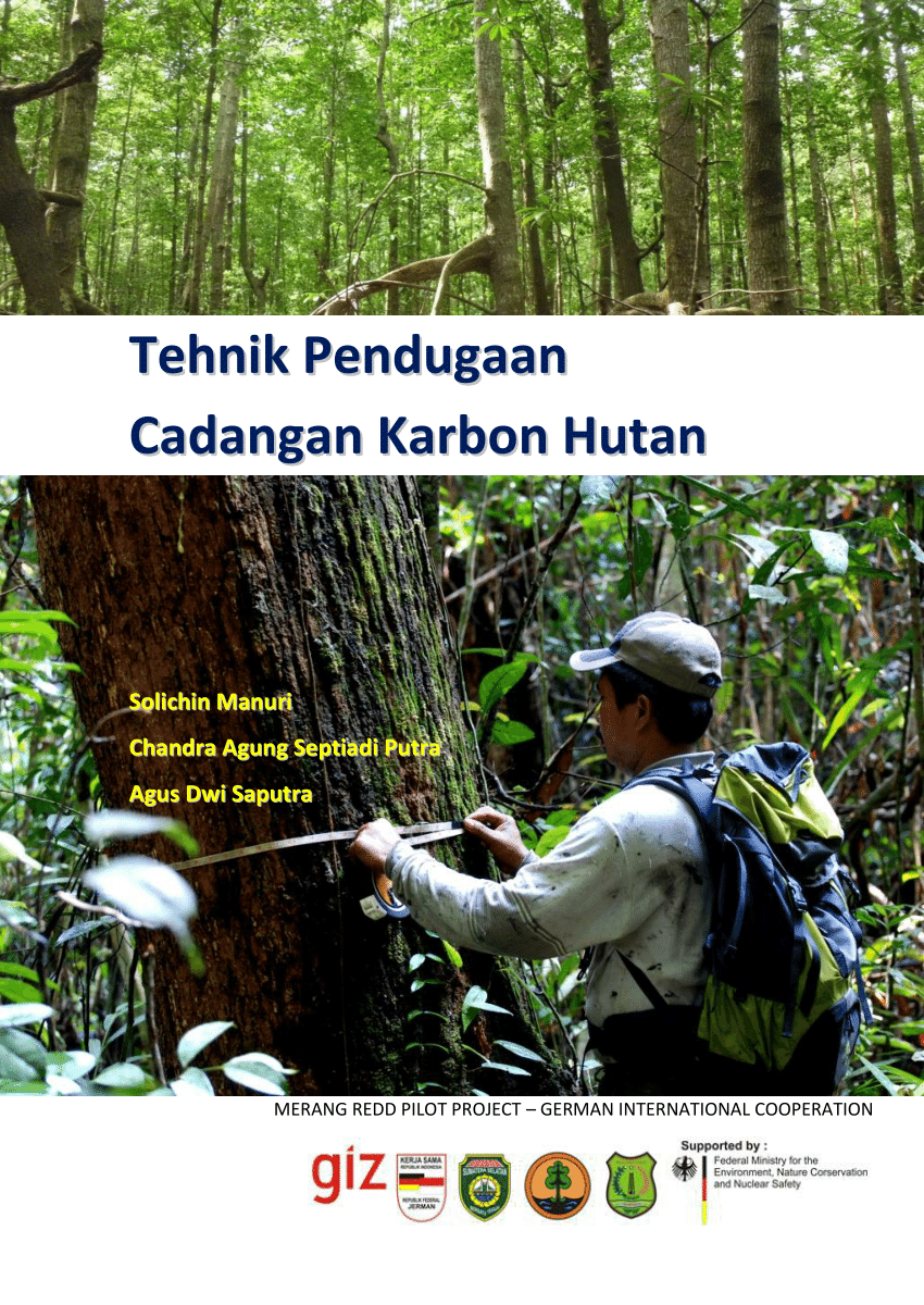 PDF Inventarisasi Tegakan Hutan Dan Cadangan