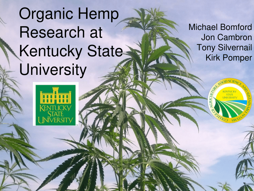 hemp research papers
