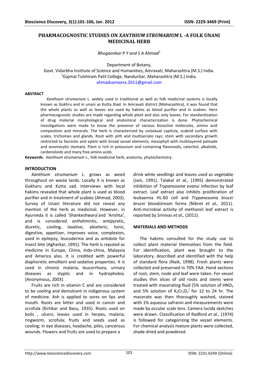 xanthium strumarium research paper