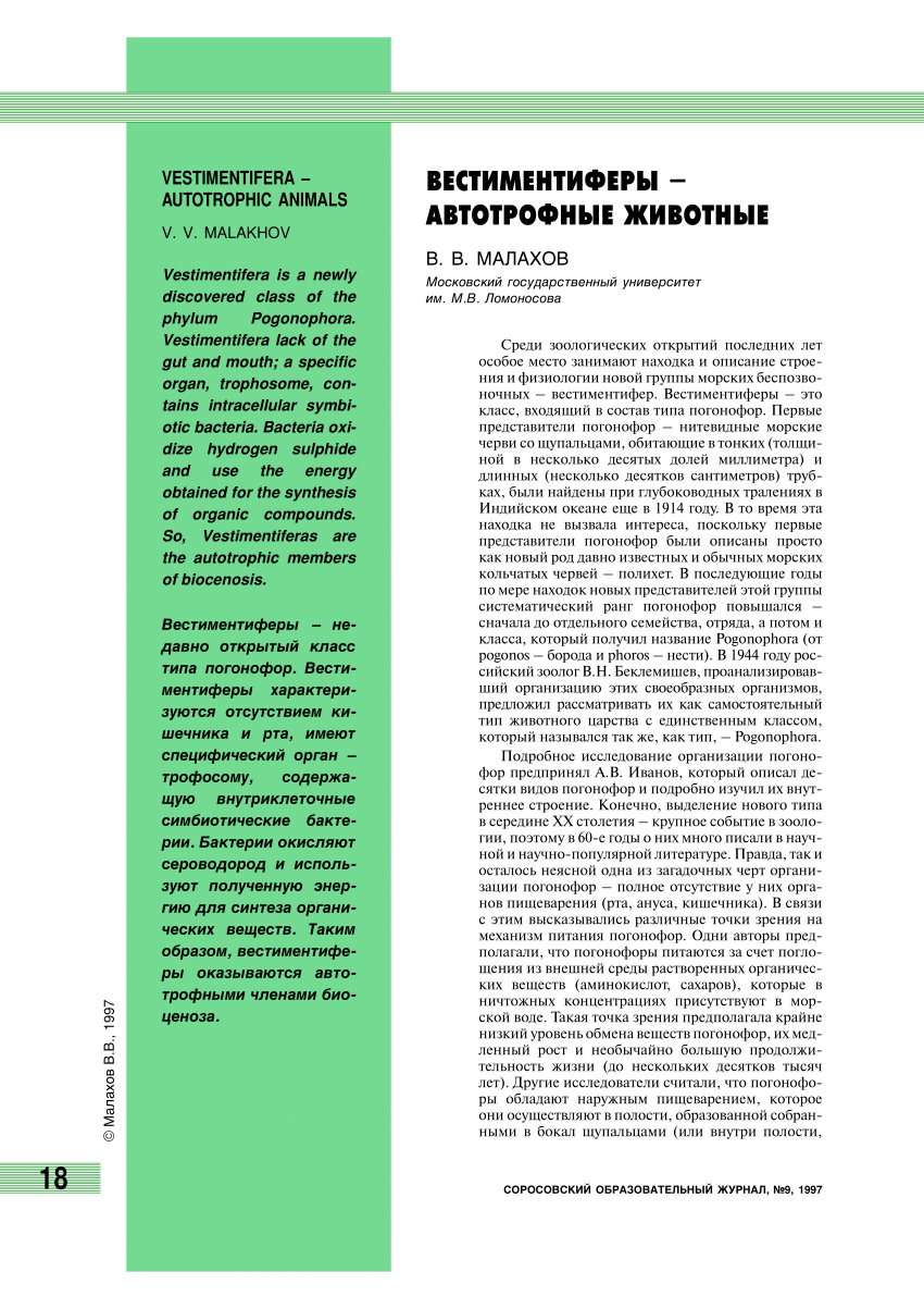 PDF) VESTIMENTIFERA – AUTOTROPHIC ANIMALS