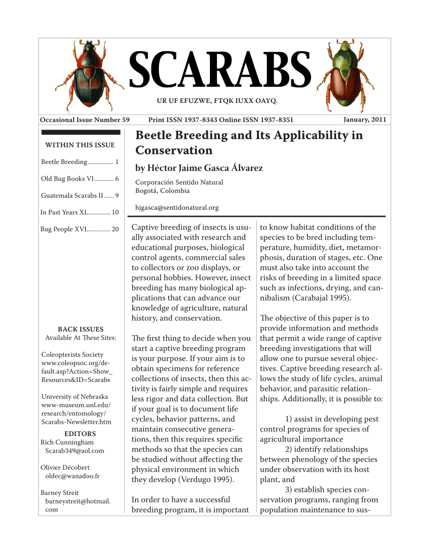 Pdf Beetle Breeding And Its Applicability In Conservation