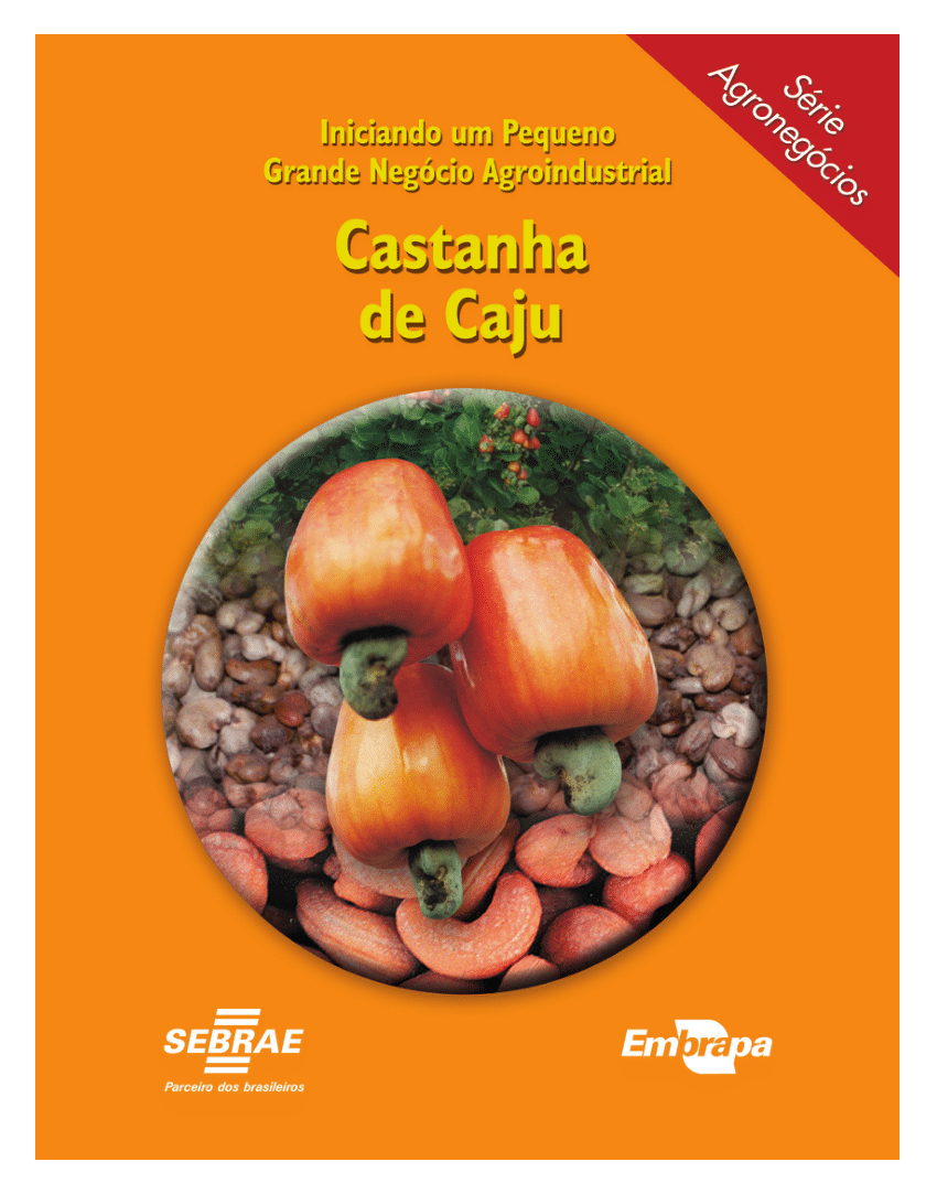 PDF) Iniciando um Pequeno Grande Negócio Agroindustrial: Castanha de Caju.