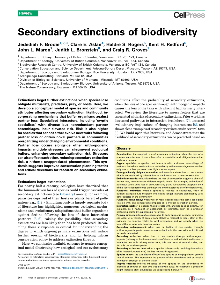 PDF Secondary extinctions of biodiversity