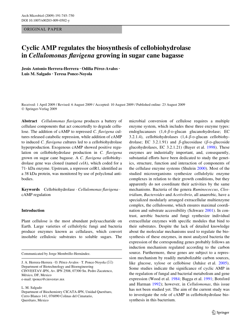 Cellobiohydrolase A Cbha From The Cellulolytic Bacterium