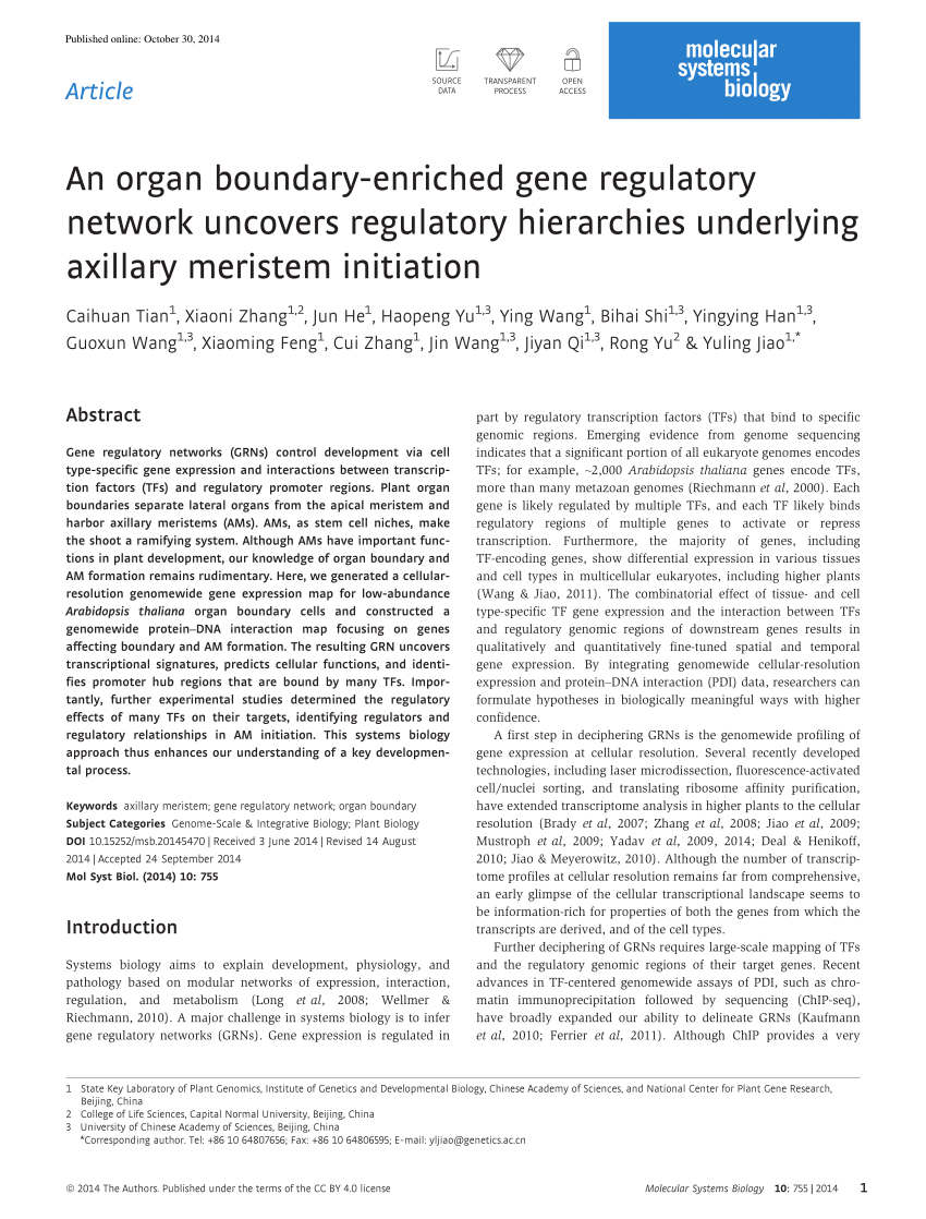 PDF) An organ boundary-enriched gene regulatory network uncovers 