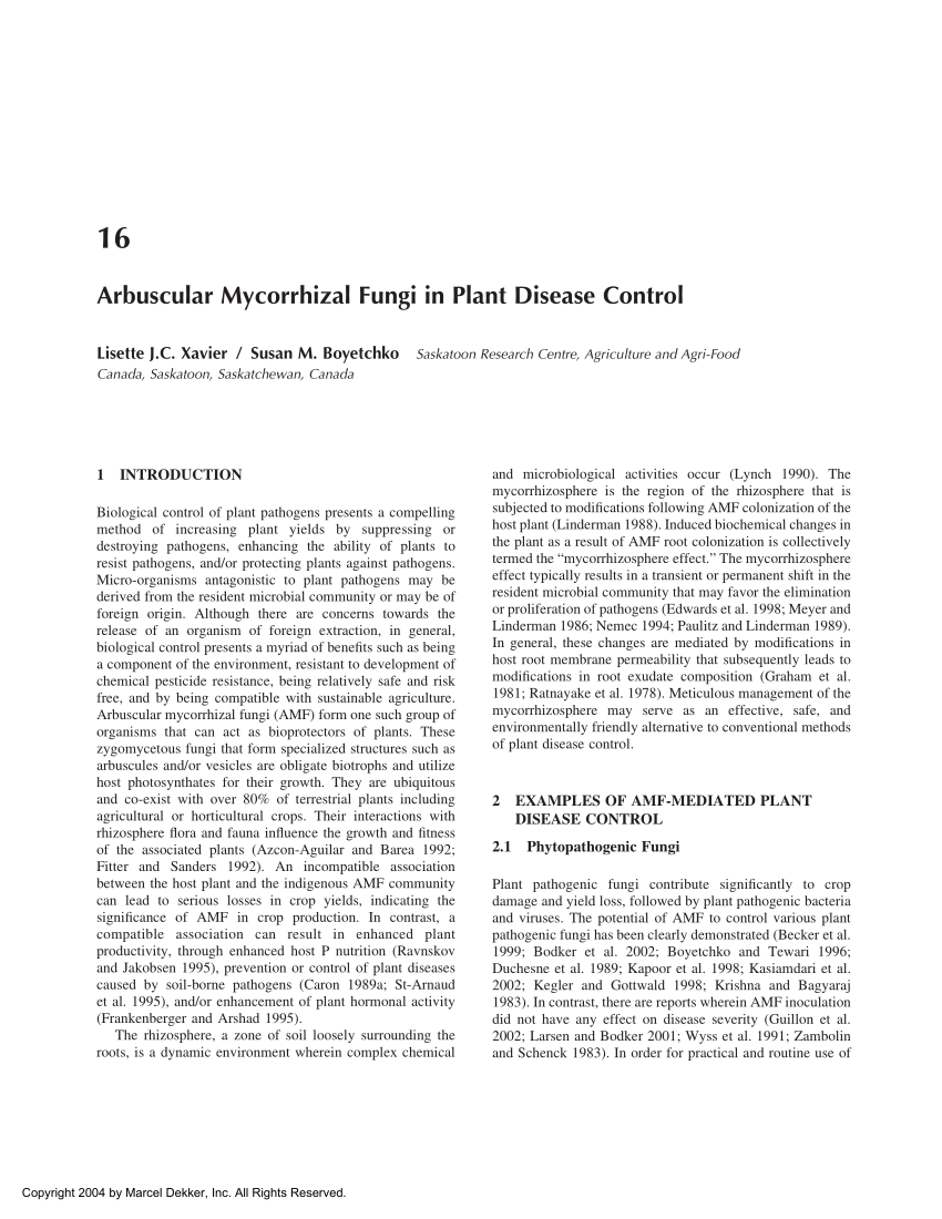 (PDF) Arbuscular Mycorrhizal Fungi In Plant Disease Control