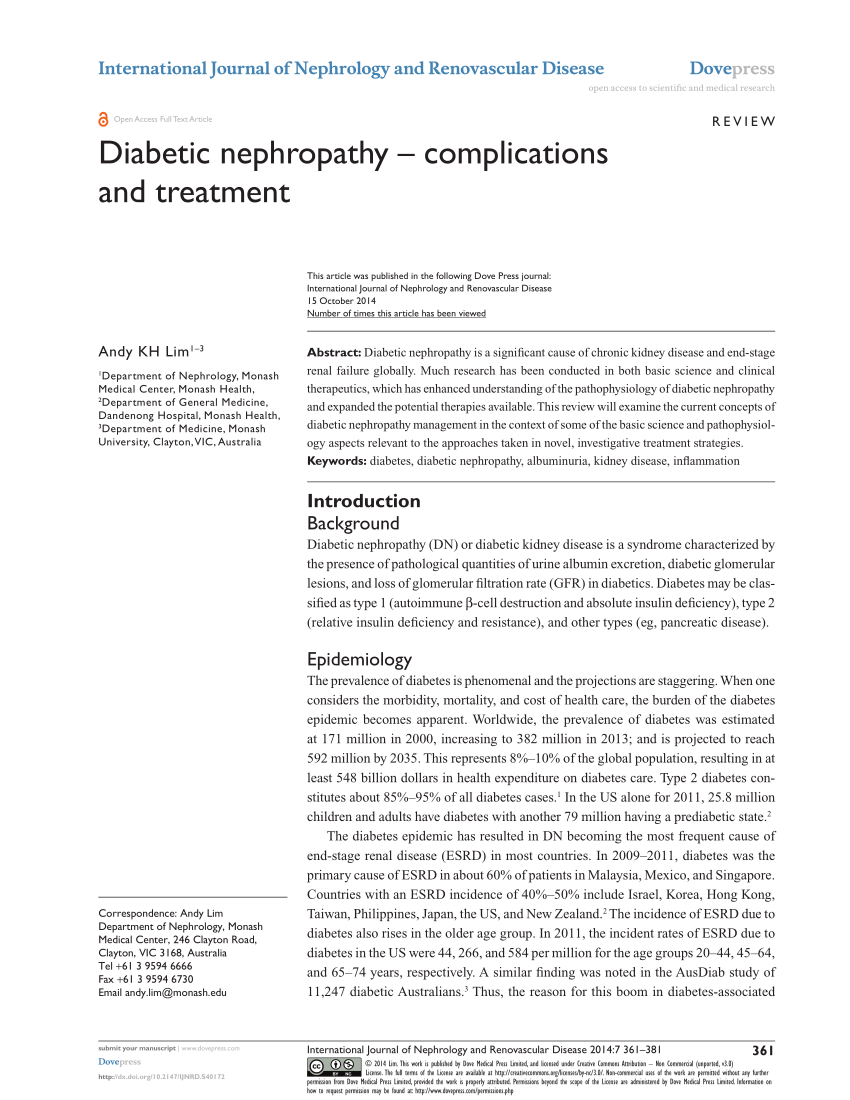 Diabetic Nephropathy and its two phenotypes: the proteinuric and ...