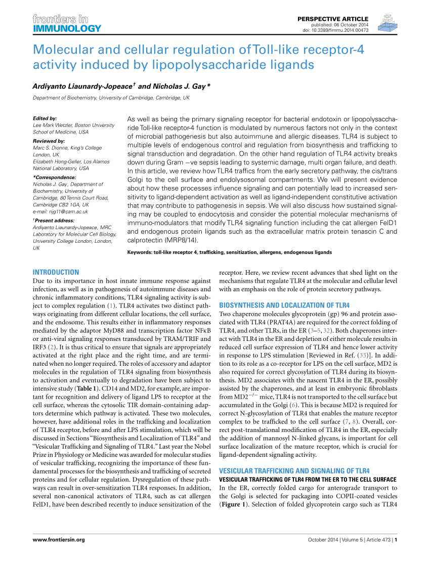 PDF Molecular and Cellular Regulation of Toll Like Receptor 4  