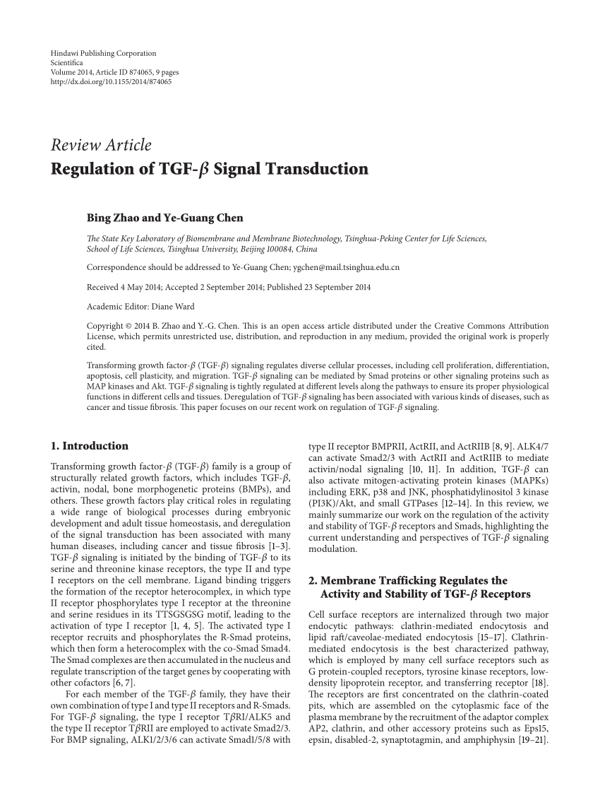 Pdf Regulation Of Tgf B Signal Transduction
