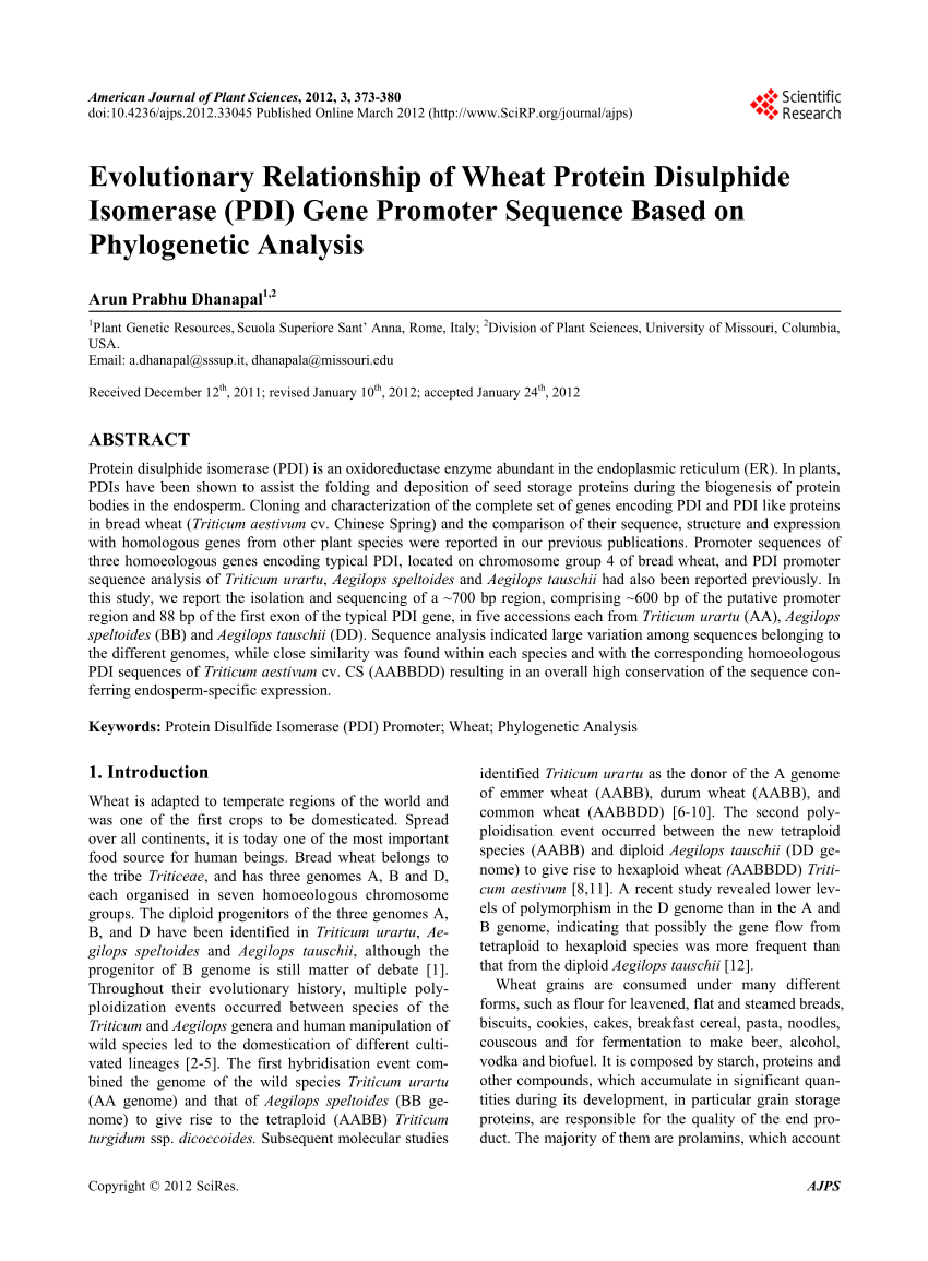 PDI Trustworthy Exam Torrent