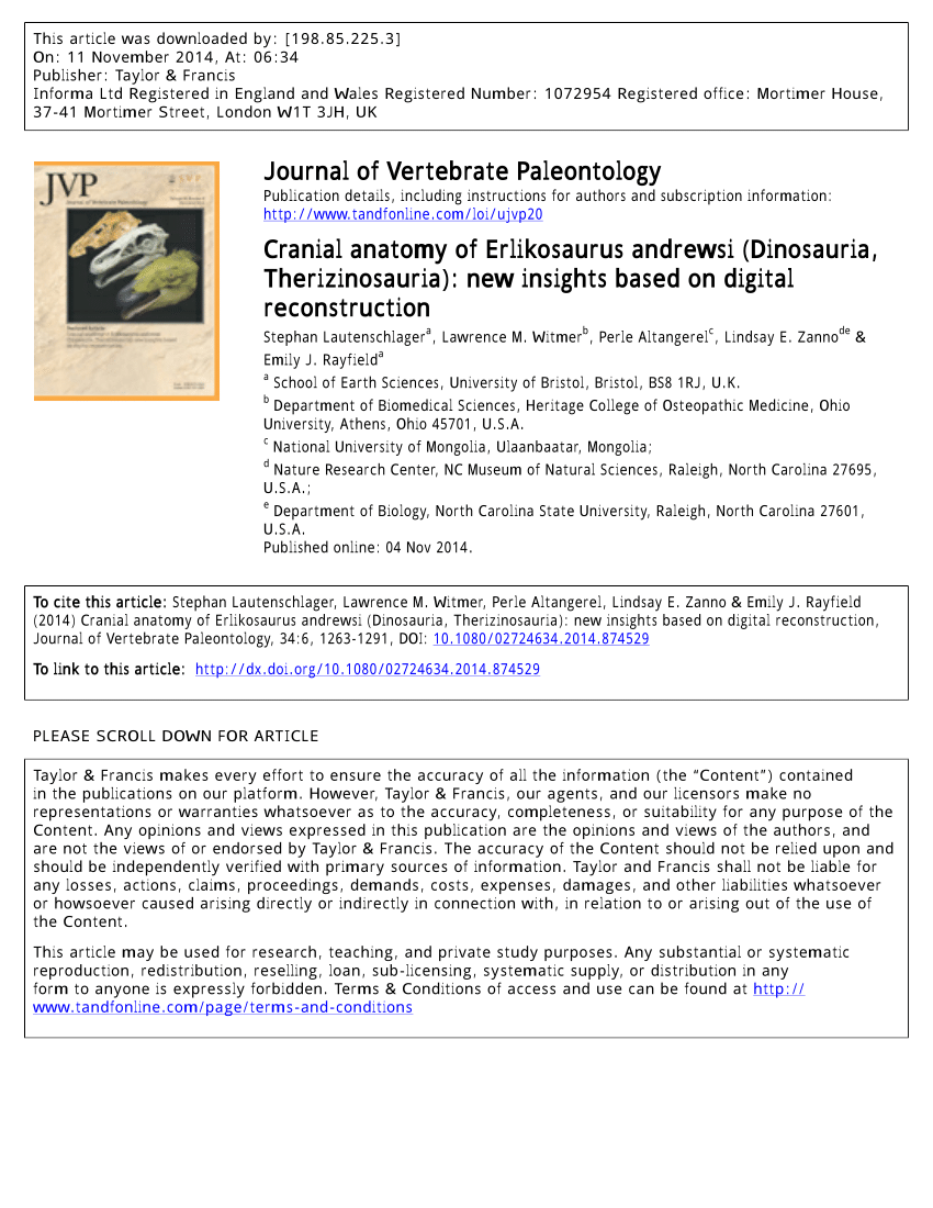 L'American journal of anatomy . ie par l'expansion de l'itsdistal