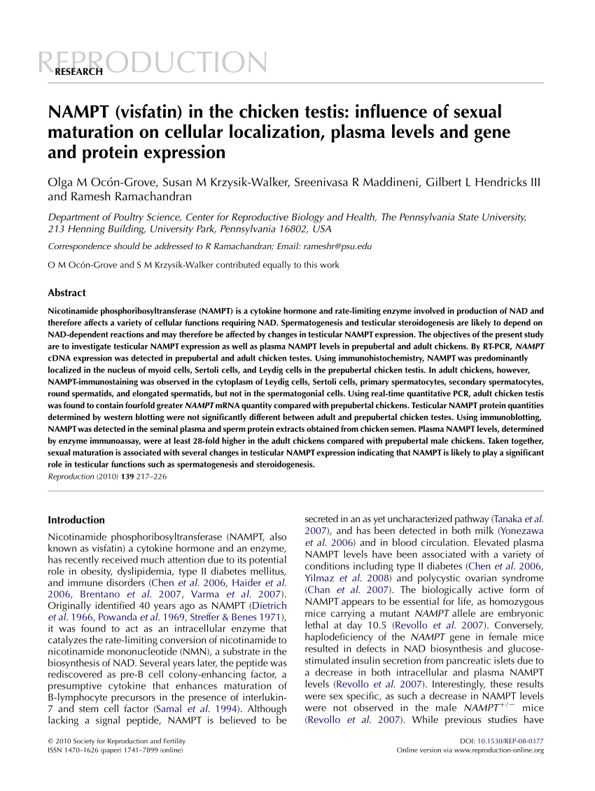 PDF) NAMPT (visfatin) in the chicken testis: Influence of sexual ...