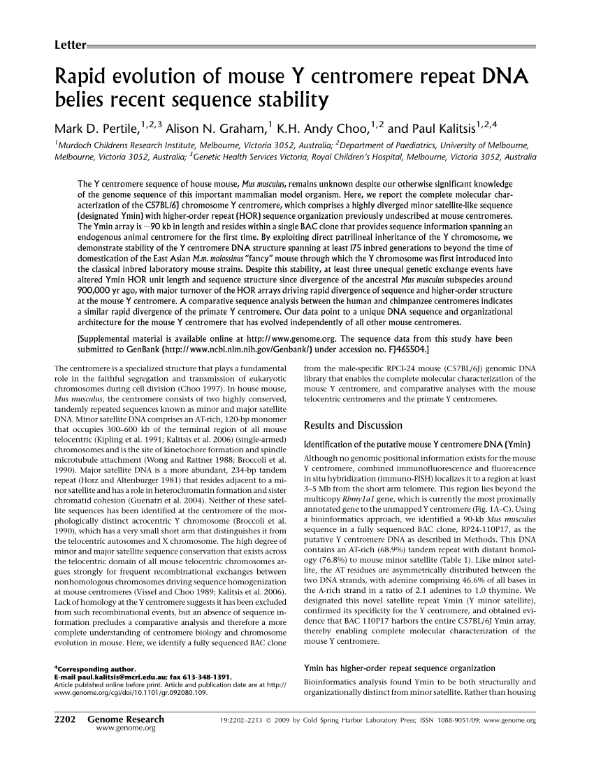 Pdf Rapid Evolution Of Mouse Y Centromere Repeat Dna Belies Recent Sequence Stability