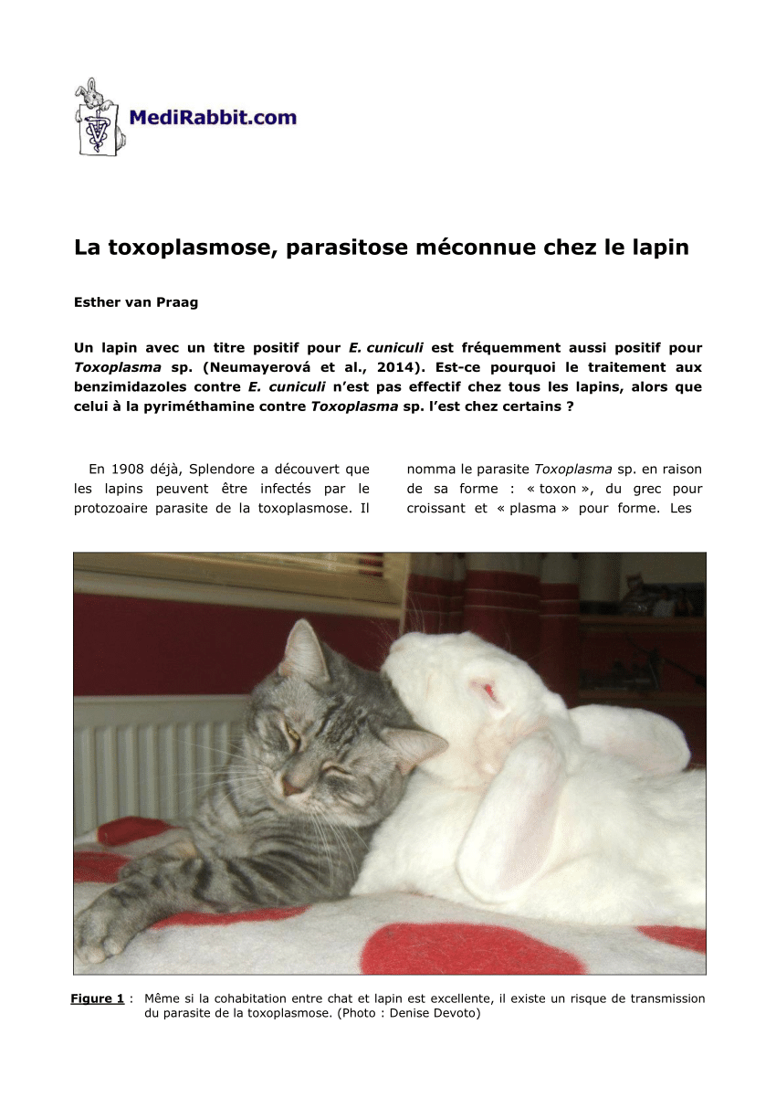 Pdf La Toxoplasmose Parasitose Meconnue Chez Le Lapin