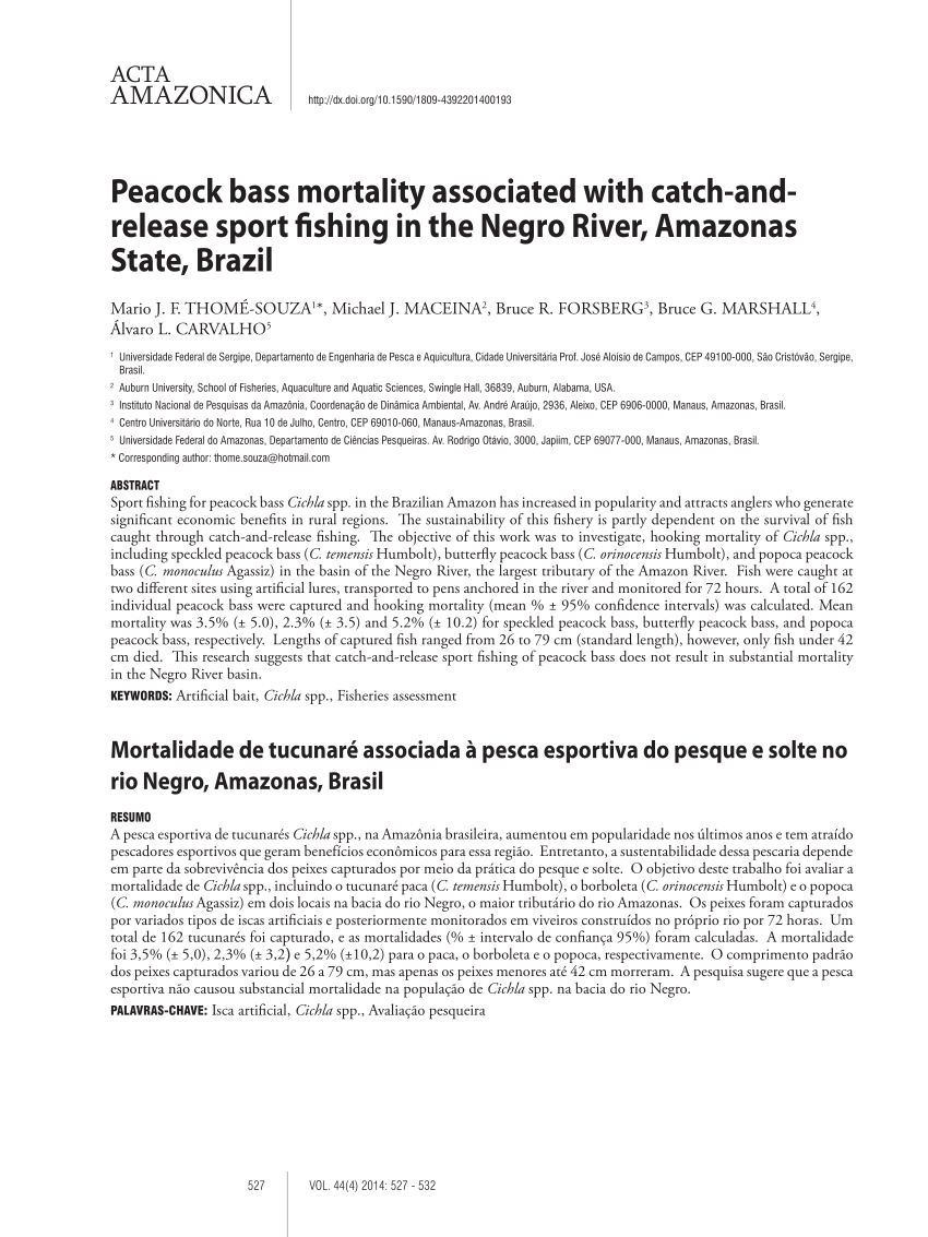 PDF) Peacock bass mortality associated with catch-and- release sport  fishing in the Negro River, as State, Brazil
