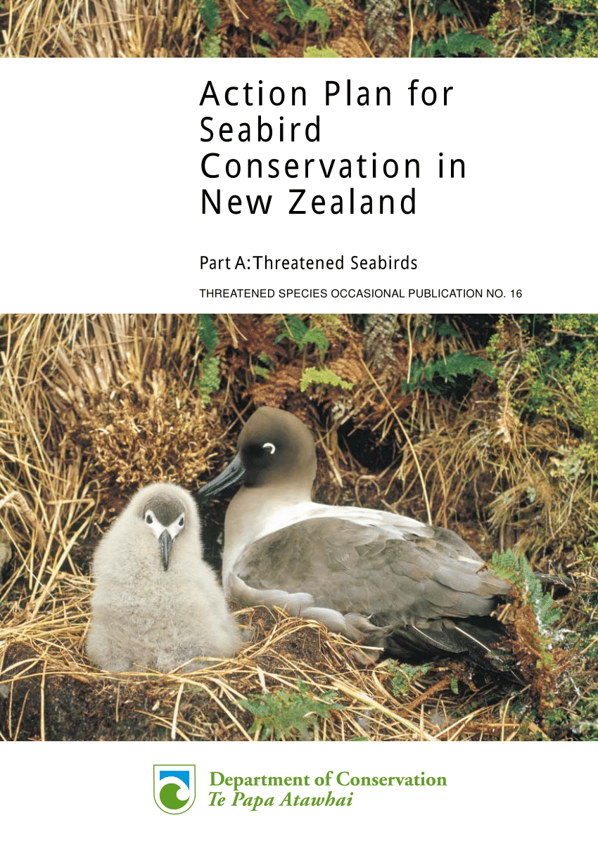 Number of New Zealand nesting seabird taxa with respect to population