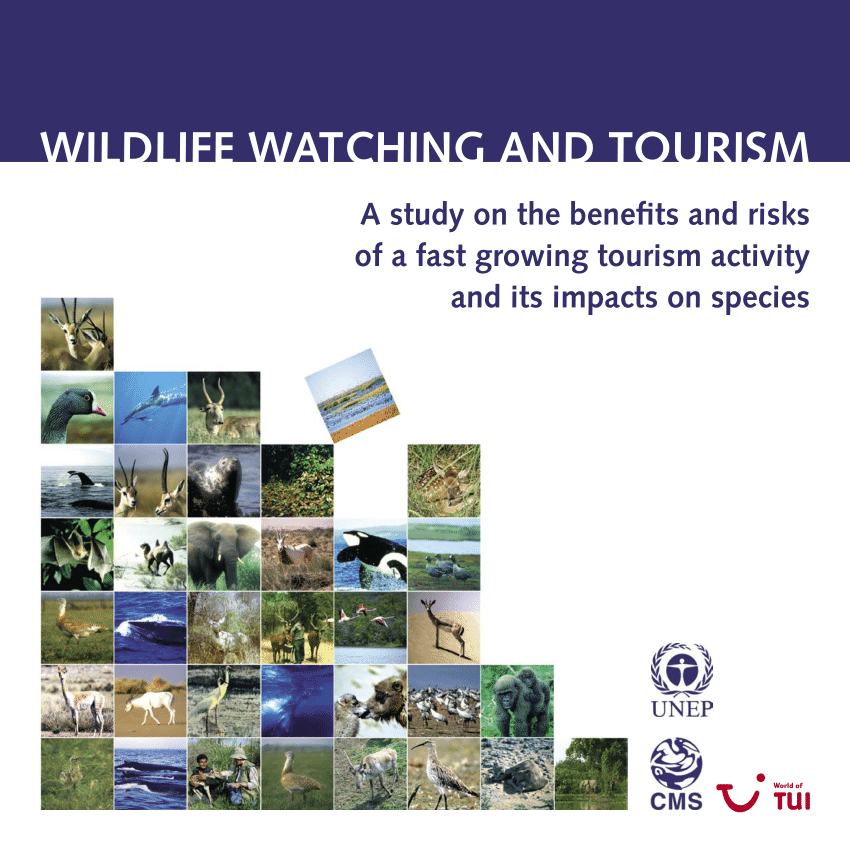tourism impacts on wildlife