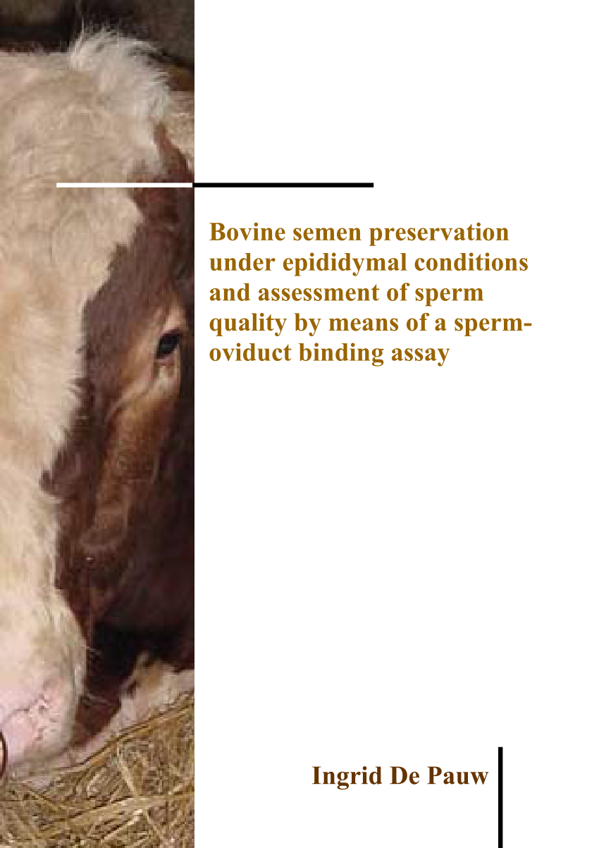 Pdf Bovine Semen Preservation Under Epididymal Conditions And Assessment Of Sperm Quality By