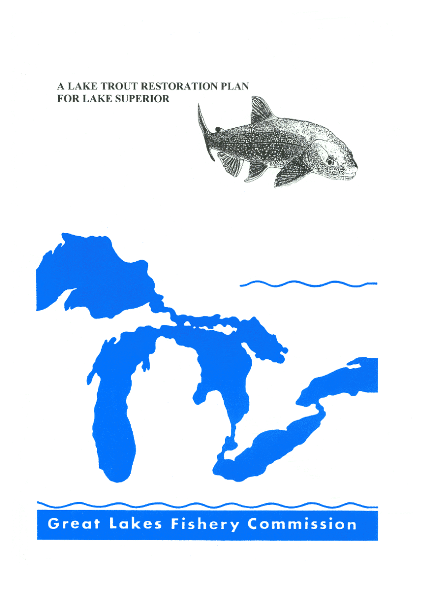 Wisconsin DNR tallies fish stocking in Lake Superior, Lake