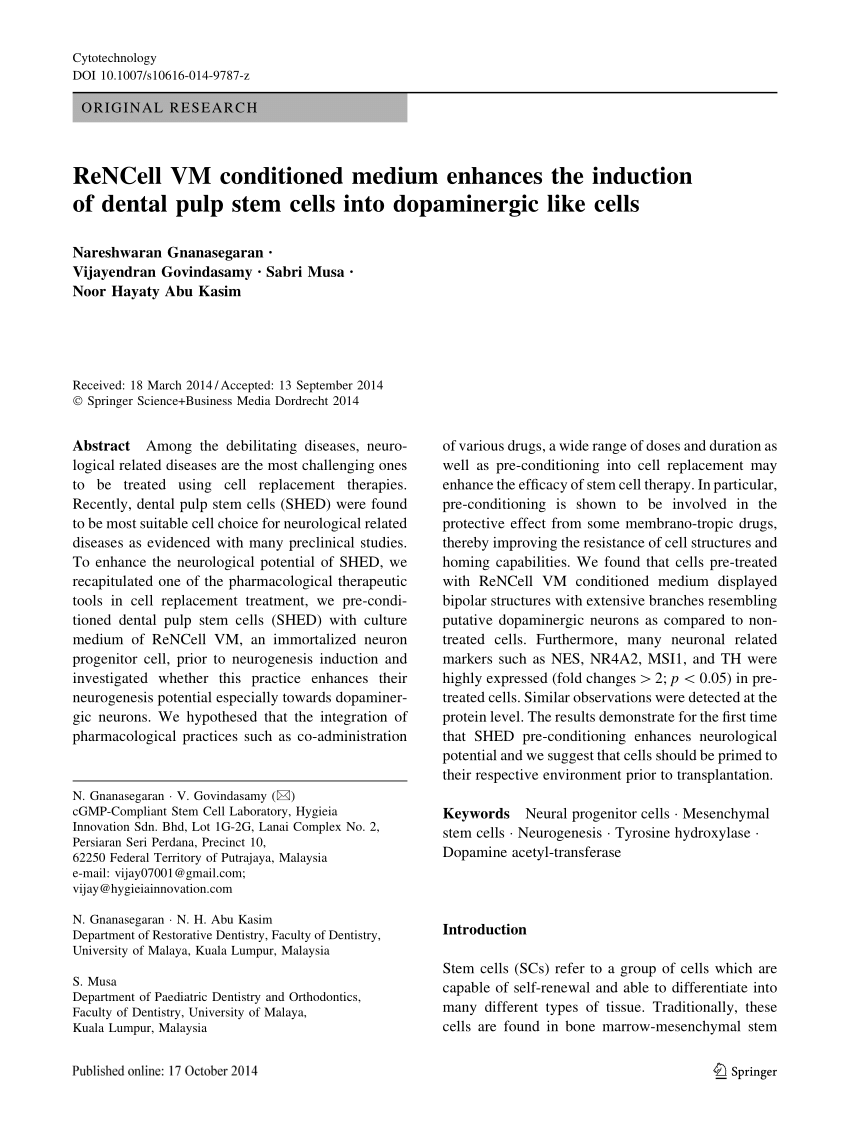 PDF) ReNCell VM conditioned medium enhances the induction of 