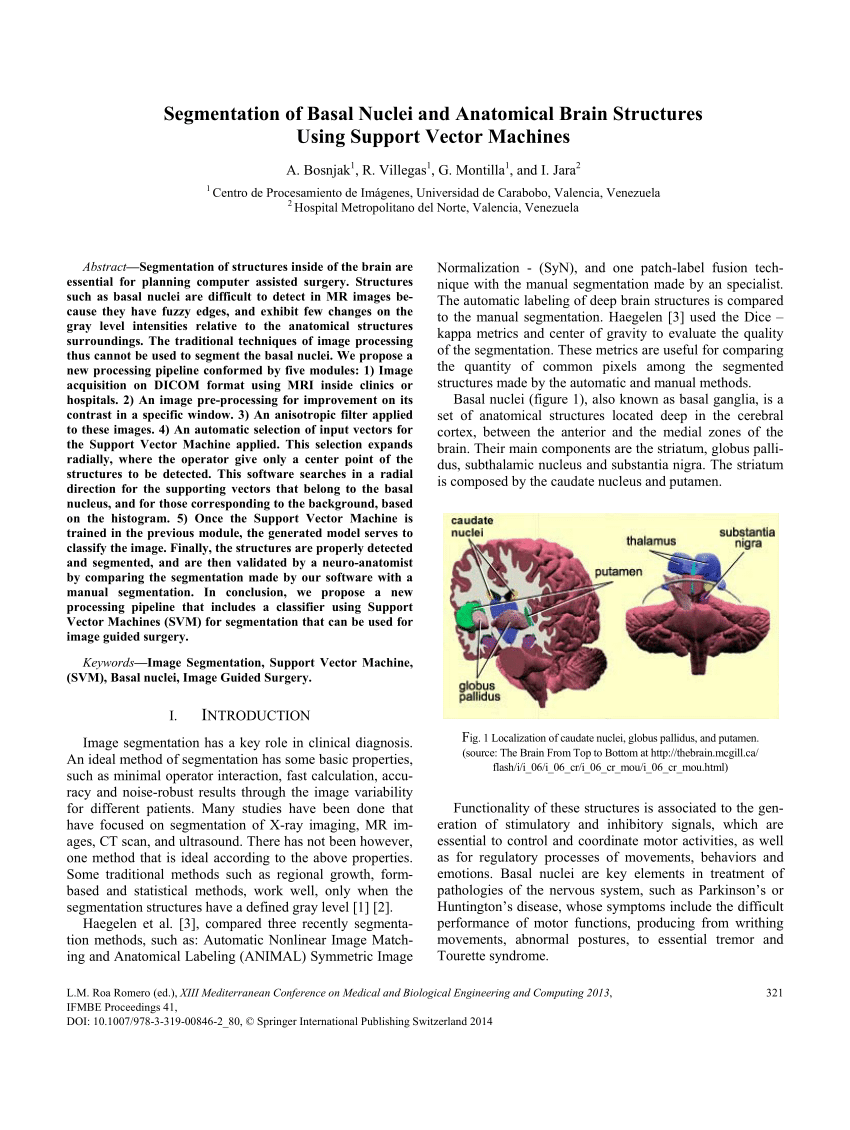 PDF) Segmentation of Basal Nuclei and Anatomical Brain Structures ...
