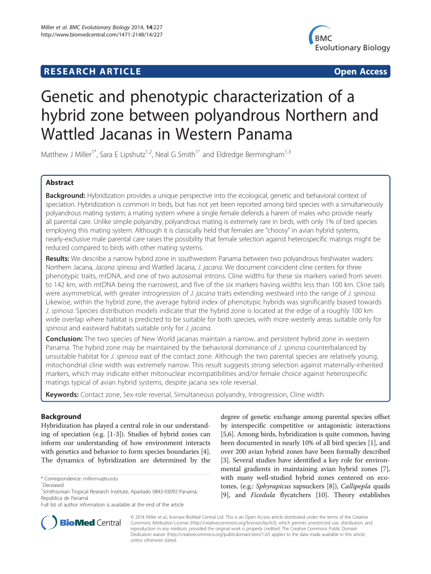 PDF) Genetic and phenotypic characterization of a hybrid zone between polyandrous Northern and Wattled Jacanas in Western Panama