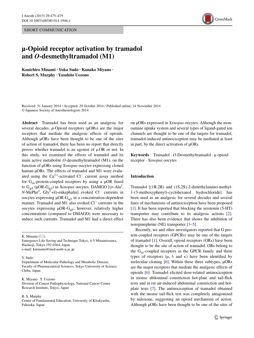 Pdf µ Opioid Receptor Activation By Tramadol And O Desmethyltramadol M1