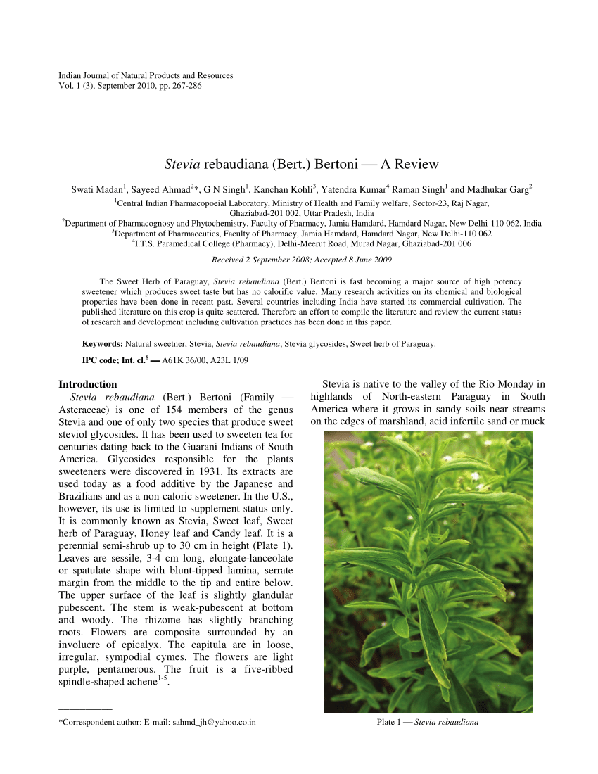 stevia plant research paper