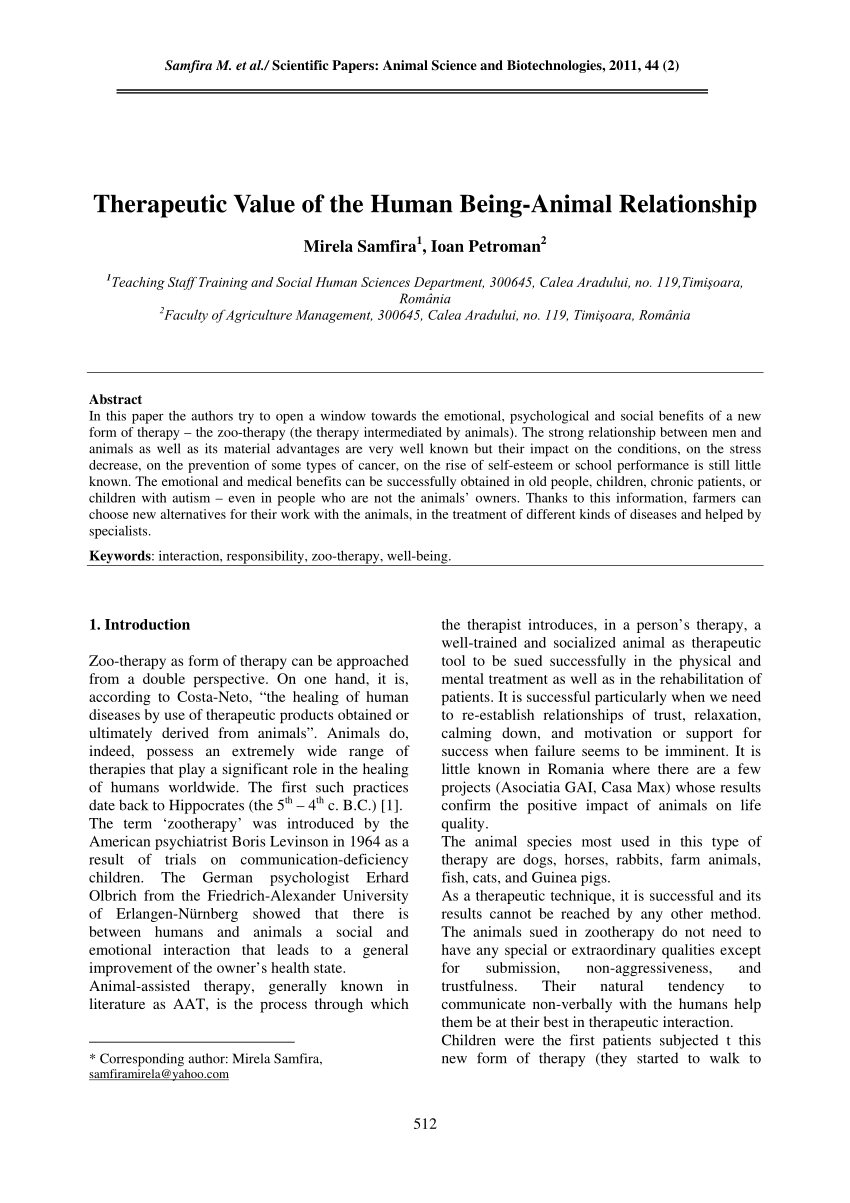 human animal relationship essay