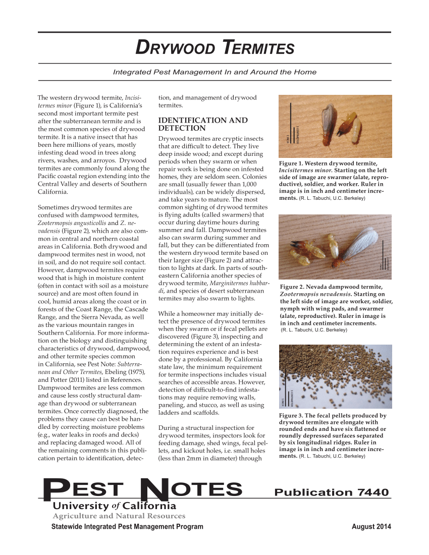 (PDF) Drywood termites