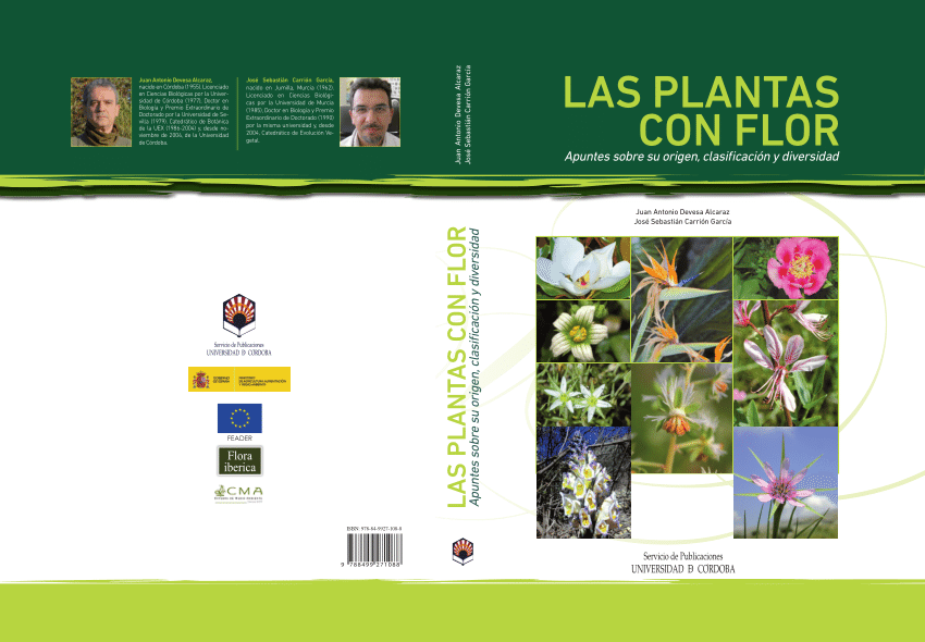(PDF) Las plantas con flor. Apuntes sobre su origen, clasificación y ...