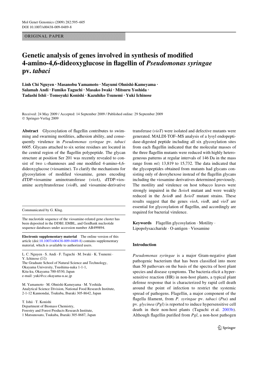 Pdf Genetic Analysis Of Genes Involved In Synthesis Of Modified 4 Amino 4 6 Dideoxyglucose In Flagellin Of Pseudomonas Syringae Pv Tabaci