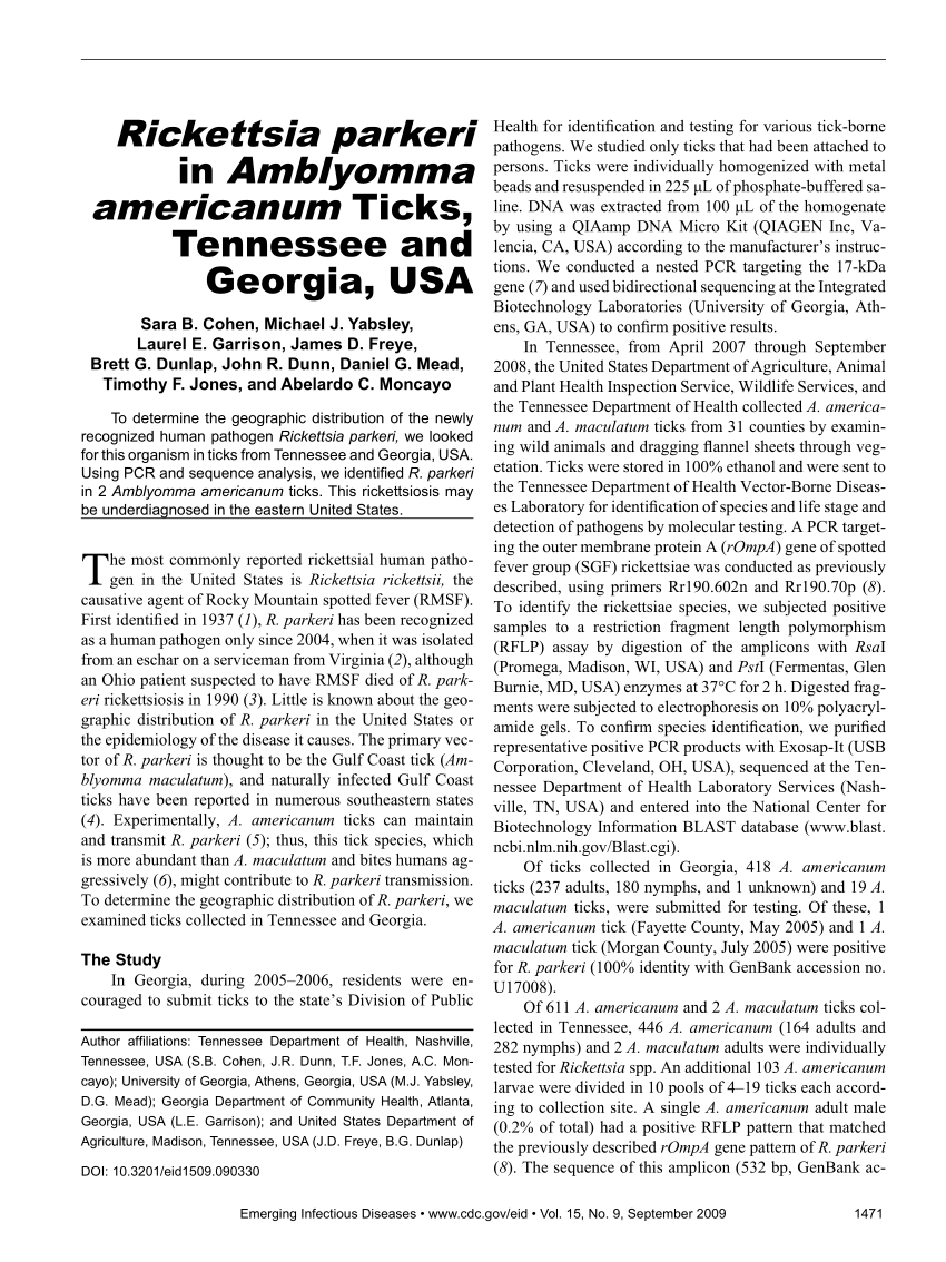 (PDF) Rickettsia parkeri in Amblyomma americanum Ticks, Tennessee and