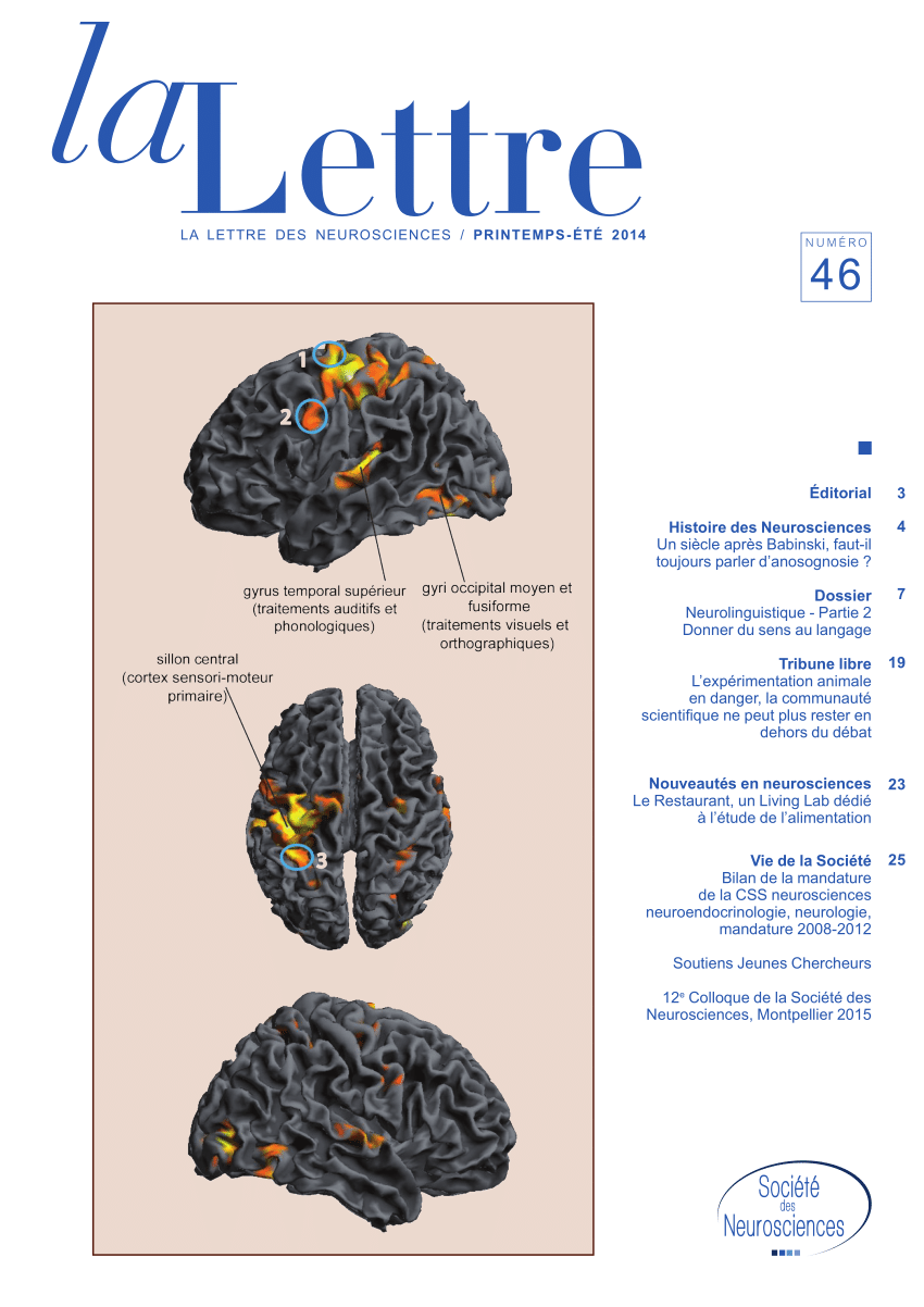 4 images 1 mot 6 lettres cerveau