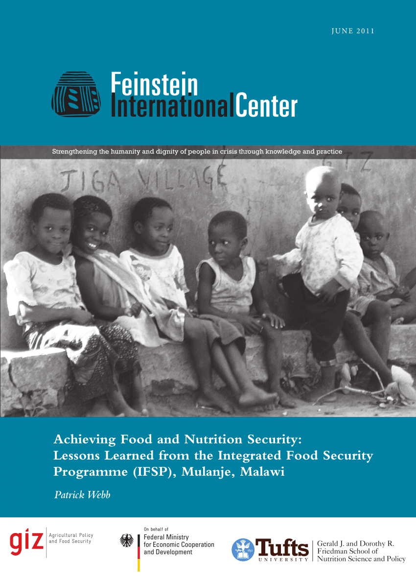 (PDF) Achieving Food and Nutrition Security: Lessons Learned from the ...
