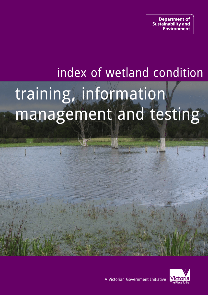 thesis wetland management