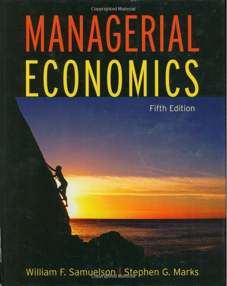 managerial economics case study pdf