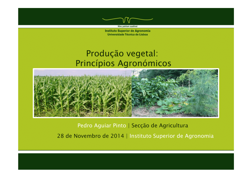 Plateau, PDF, Agricultura