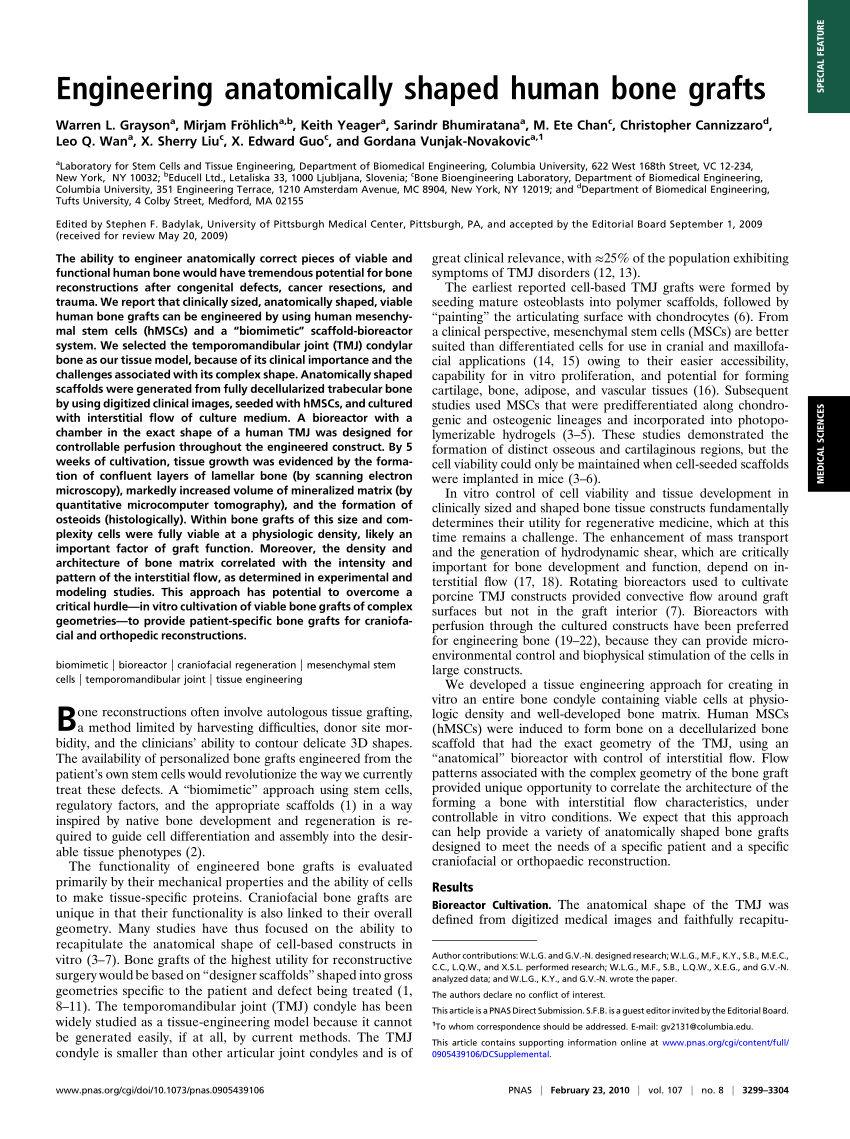 Pdf Engineering Anatomically Shaped Human Bone Grafts