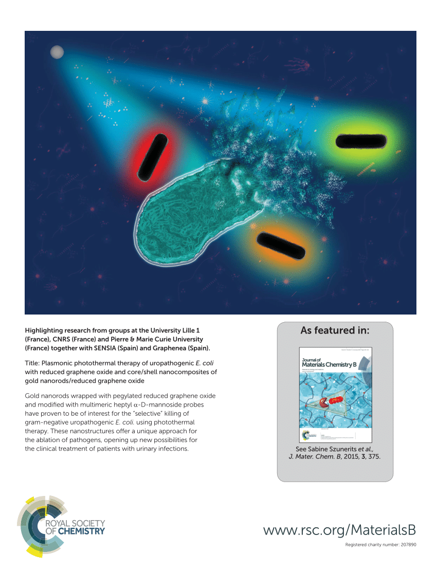 (PDF) Plasmonic Photothermal Therapy of uropathogenic E. coli with