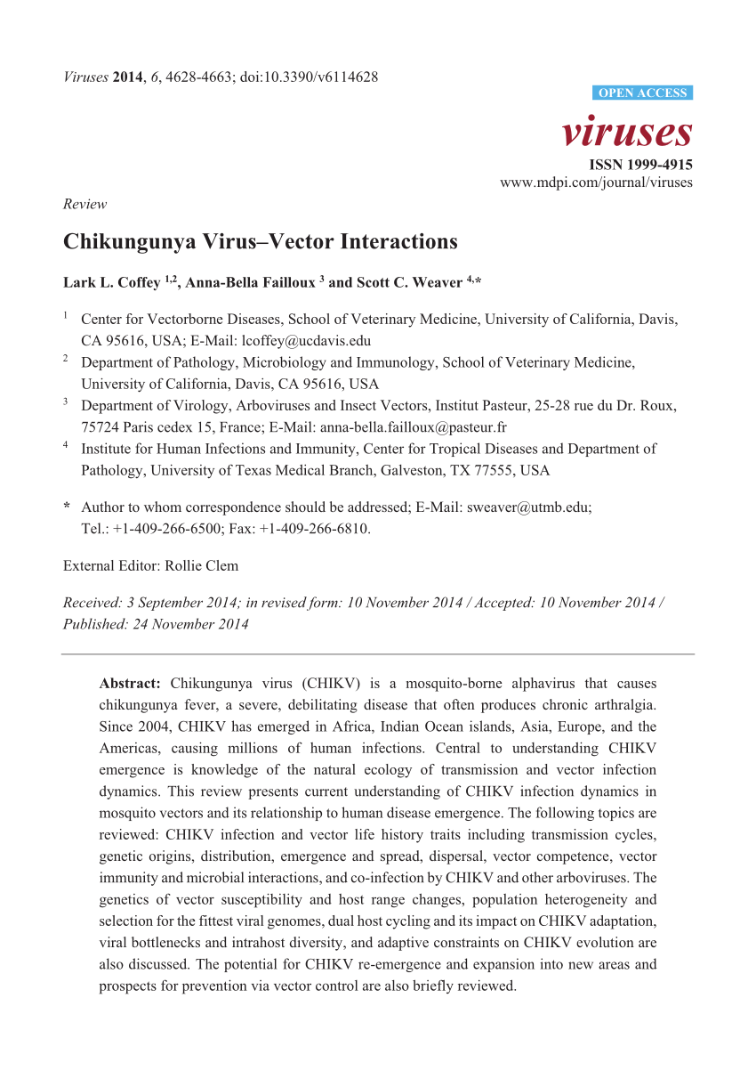 (PDF) Chikungunya Virus–Vector Interactions