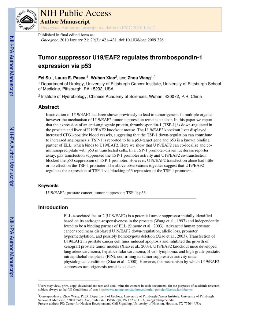 Pdf Tumor Suppressor U19 Eaf2 Regulates Thrombospondin 1 Expression Via P53