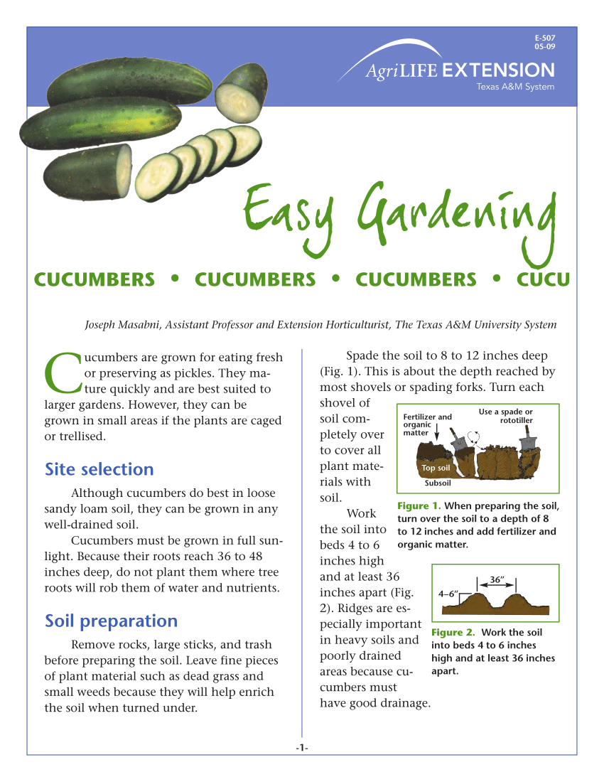 Growing Cucumbers in a Home Garden