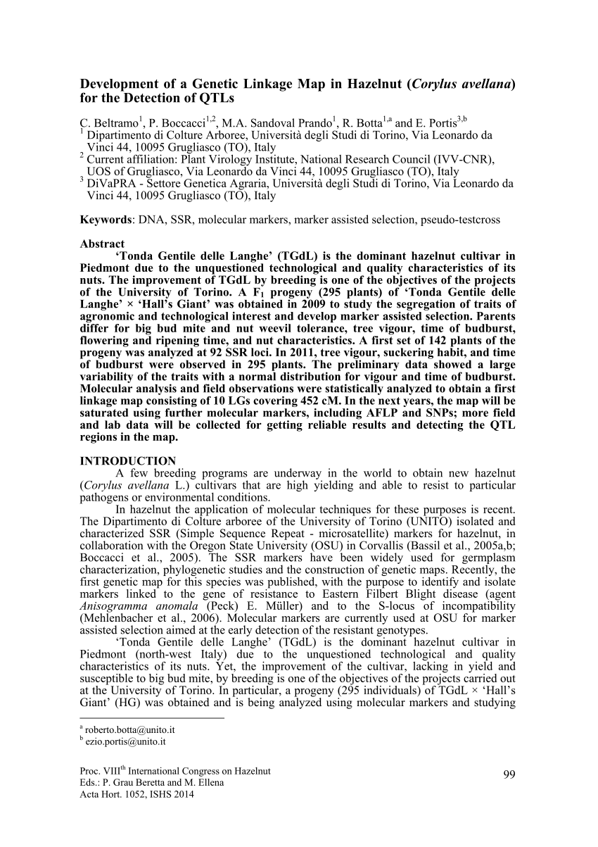 Maps of linkage group 1 (LG1) of female parent OSU 252.146 (left) and