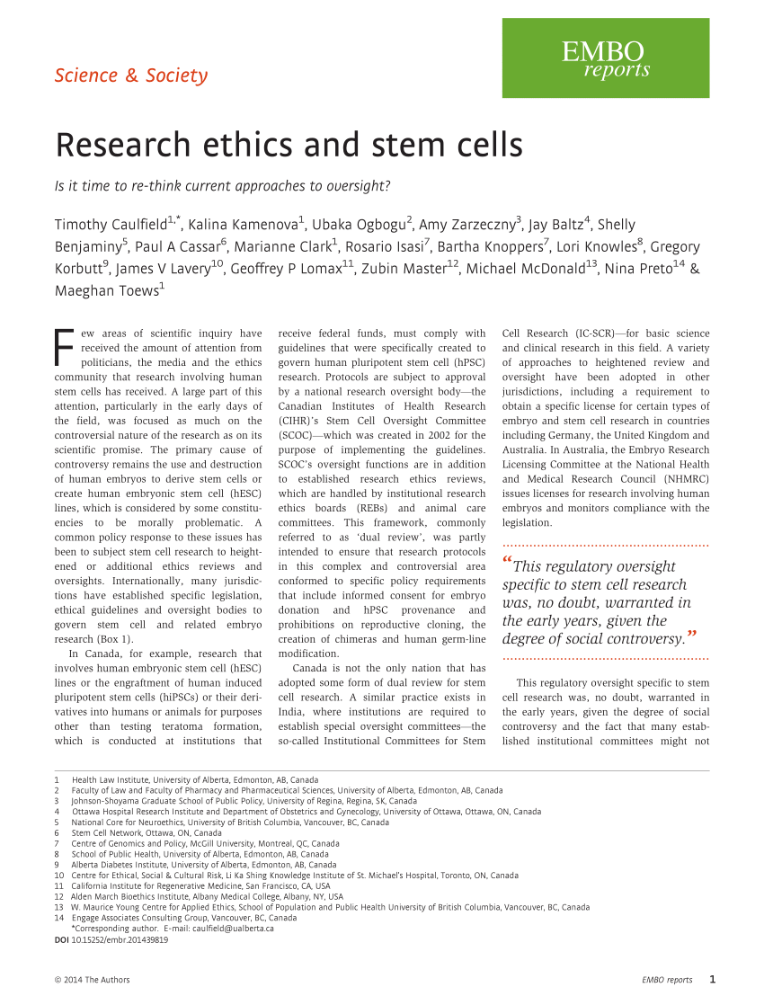 stem cell ethics research paper