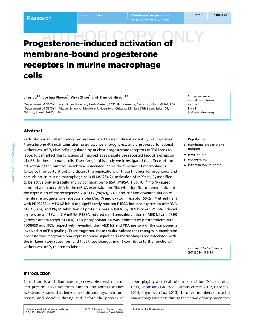 PDF Progesterone induced activation of membrane bound  