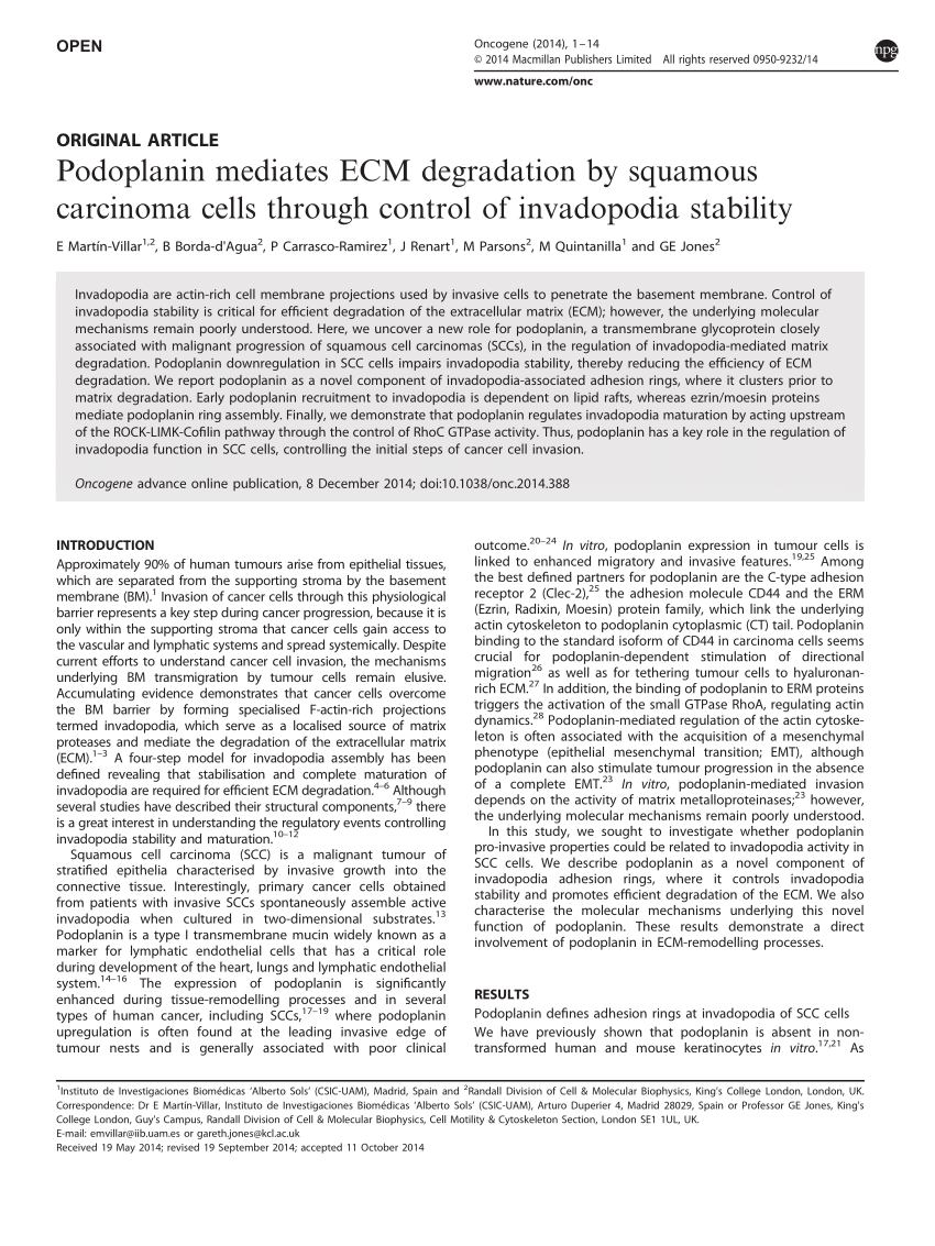 PDF) Podoplanin mediates ECM degradation by squamous carcinoma ...