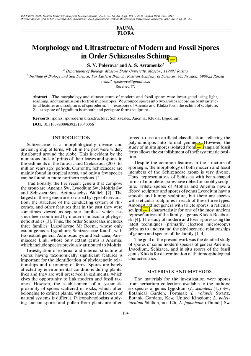 PDF) Spore morphology and ultrastructure of Dennstaedtiaceae from